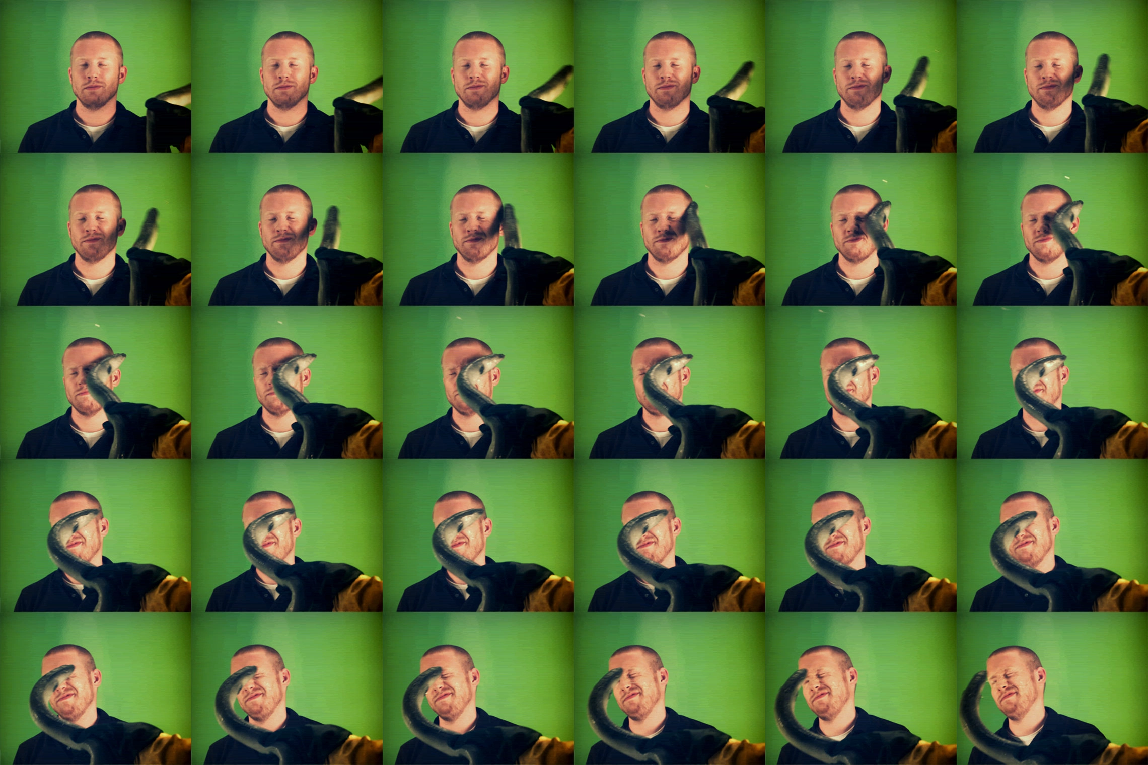 Eelslap screenshot